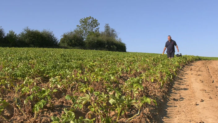 Sécheresse : L'irrigation, enjeu majeur des agriculteurs...