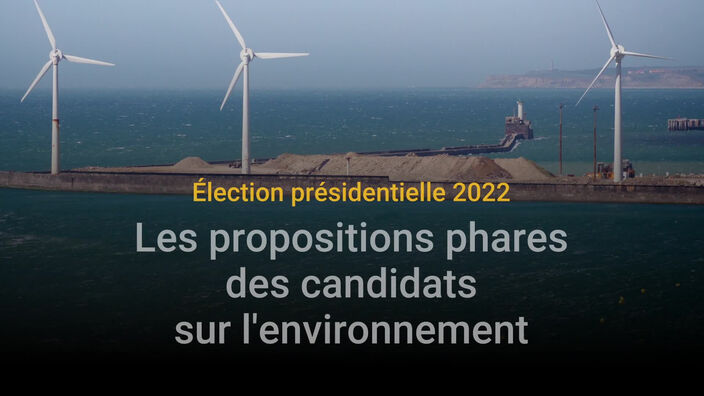 Présidentielle 2022 : que proposent les candidats pour le climat ?