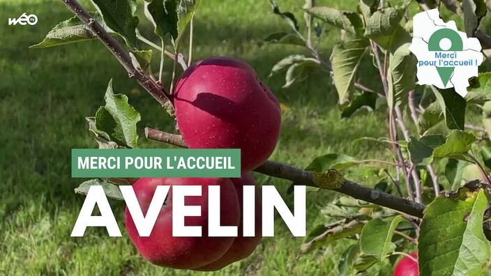 Merci pour l'accueil: Avelin (59) - Village de la Pévèle-Carembault