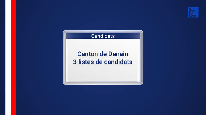 Elections départementales 2021 : le canton de Denain