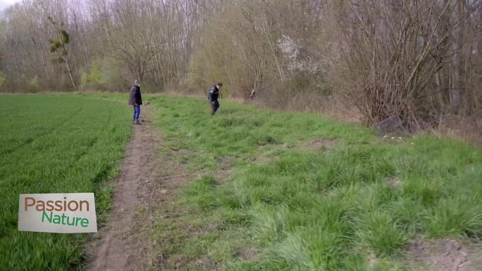 Passion nature : la fédération des chasseurs de l’Aisne lance sa campagne annuelle de piégeage des ragondins