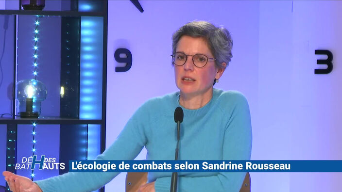 Sandrine Rousseau : "Le  problème n'est pas de savoir si je suis stupide ou pas"