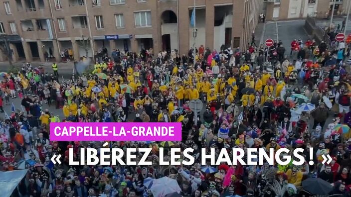 Carnaval de Dunkerque : jet de harengs à Cappelle-la-Grande 