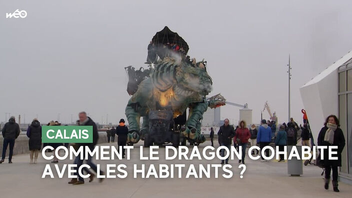 Insolite : à Calais, de drôles de règles pour cohabiter avec le dragon