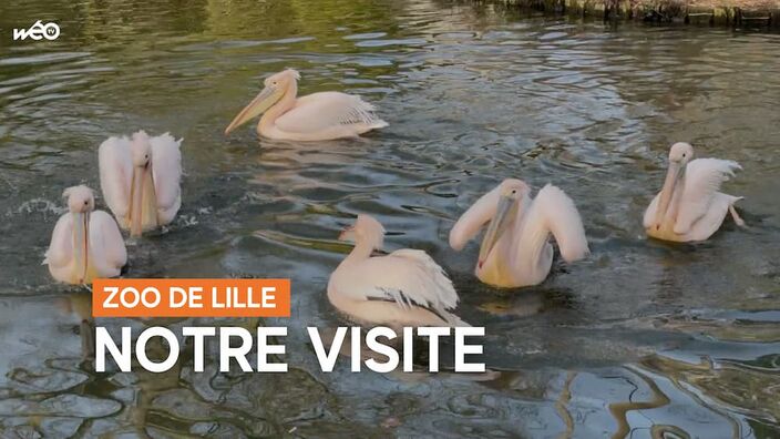 Le zoo de Lille rouvre ses portes